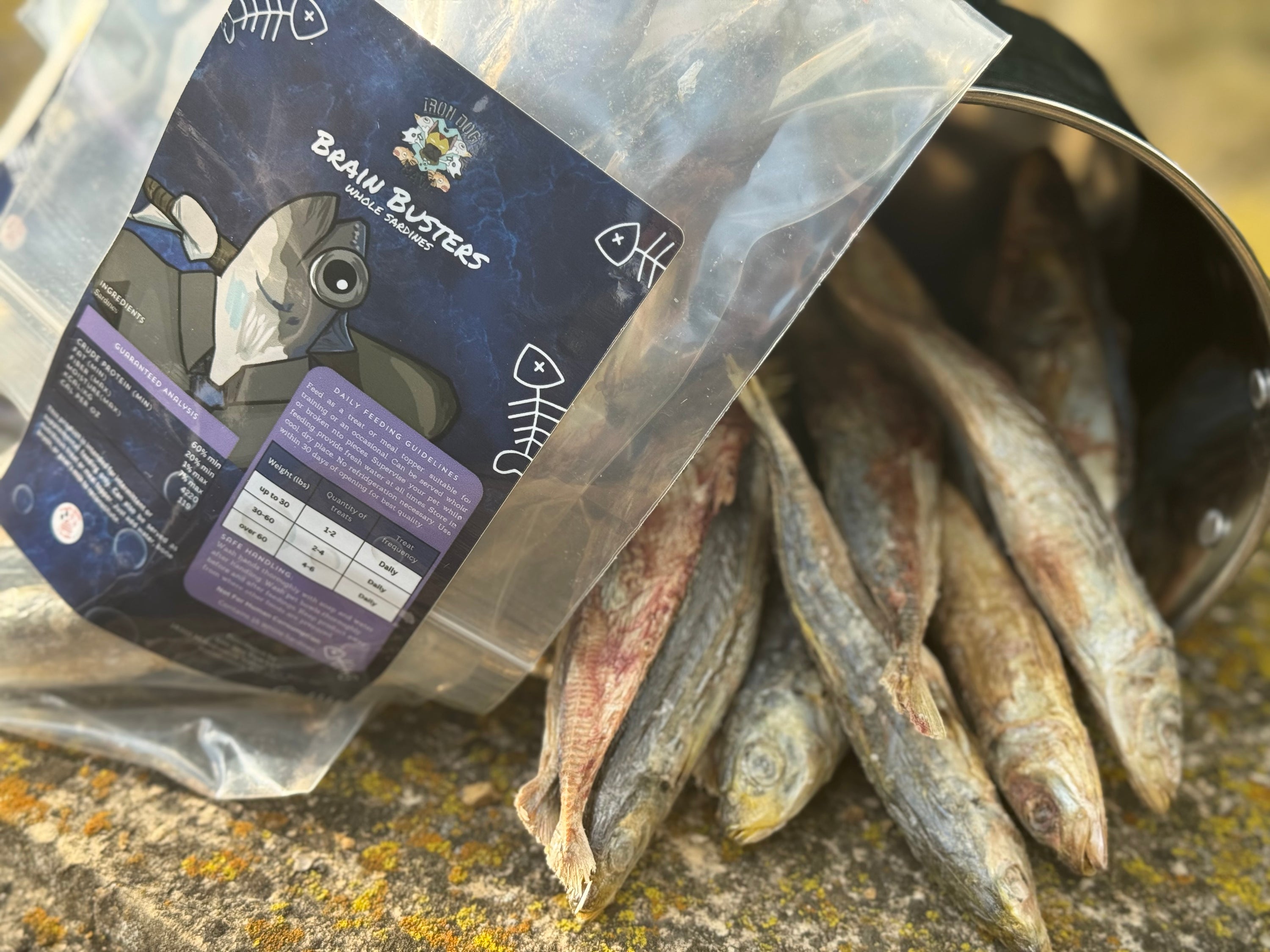 Freeze-Dried Sardines – Brain Busters